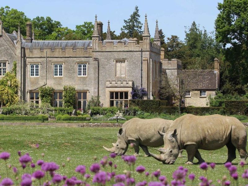 Cotswold Wildlife Park and Gardens