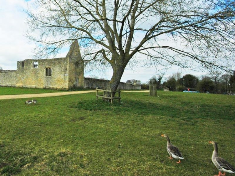 Historical Oxford Buildings: Godstow Abbey (Northwest)