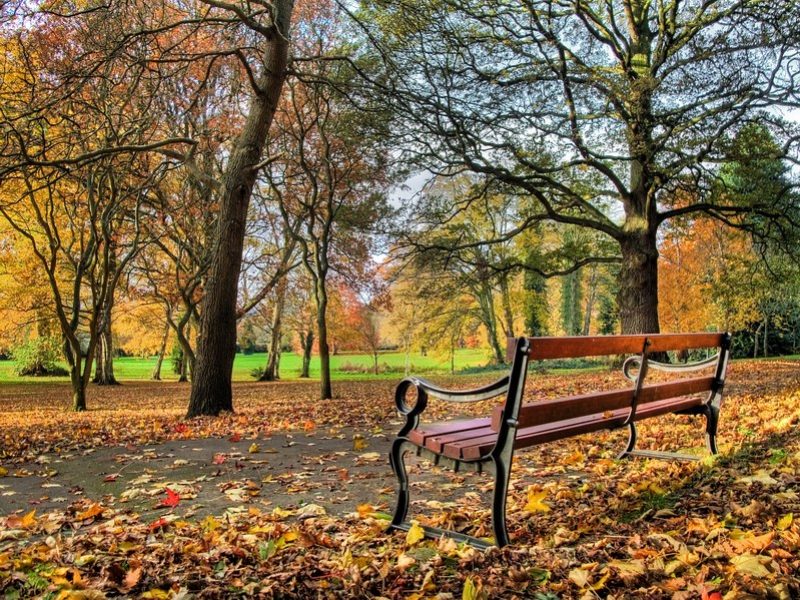 Oxford Parks & Meadows: Headington Hill Park