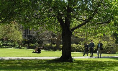 Oxford University Parks. Image courtesy of Piers Nye via Flickr Commons.