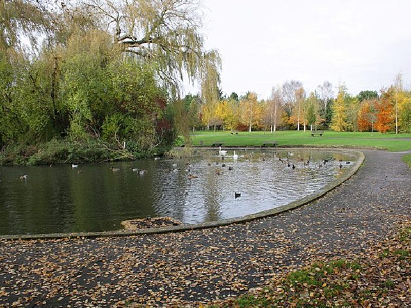 Oxford Parks & Meadows: Cutteslowe and Sunnymead Park
