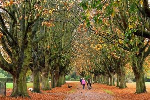 Oxford Parks & Meadows: Florence Park