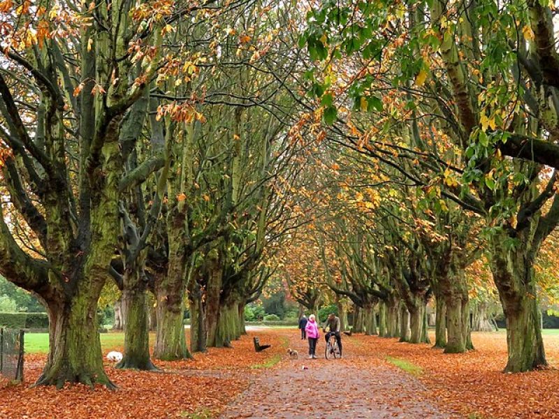 Oxford Parks & Meadows: Florence Park