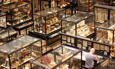 A view of the Pitt-Rivers Museum from the first floor. Image courtesy of Dark Dwarf via Flickr Commons.