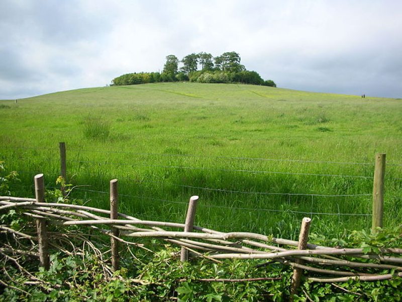 Prehistoric Oxfordshire: Wittenham Clumps Hillfort
