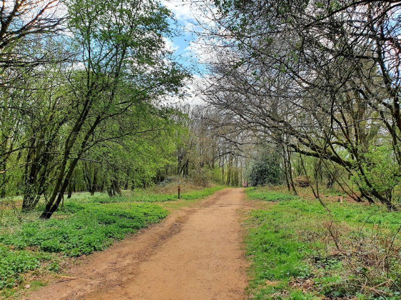 Shotover Country Park in Oxford