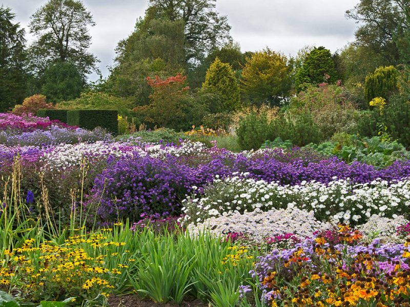 Things to See Near Oxford: Waterperry Gardens. Image courtesy of Ukgardenphotos via Flickr Commons.