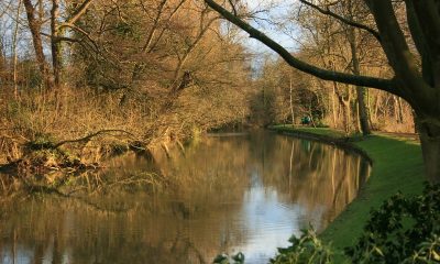Oxford Christ Church Meadow - Image courtesy of Matthias Rosenkranz
